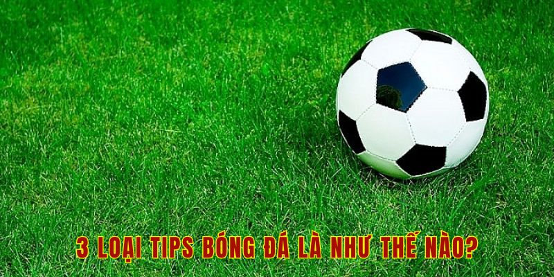 3 loại tips bóng đá là như thế nào?